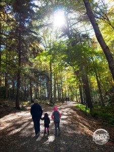 Nature Trails