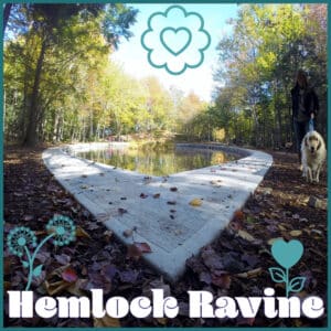 Hemlock Ravine Park Photo