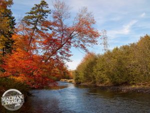 bedford sackville greenway autumn trail map halifax