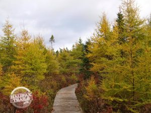 autumn fall bluff wilderness hiking trail map guide halifax