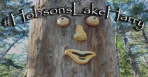 hobsons lake harry