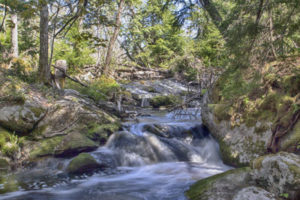 Nichols Lake Waterfall