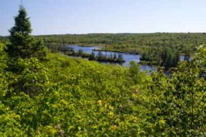 The Bluff Hiking Trail