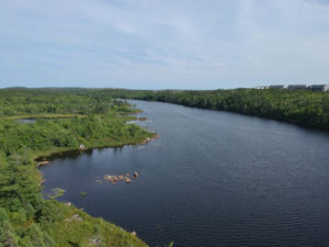 Colpitt Lake