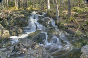 Hobsons Lake Waterfall