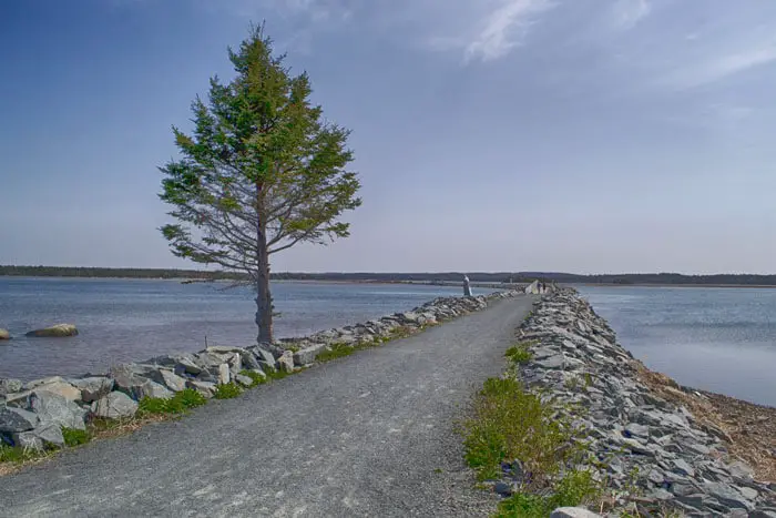 Salt Marsh Trail