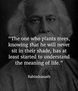 "The one who plants trees, knowing that he will never sit in their shade, has at least started to understand the meaning of life."