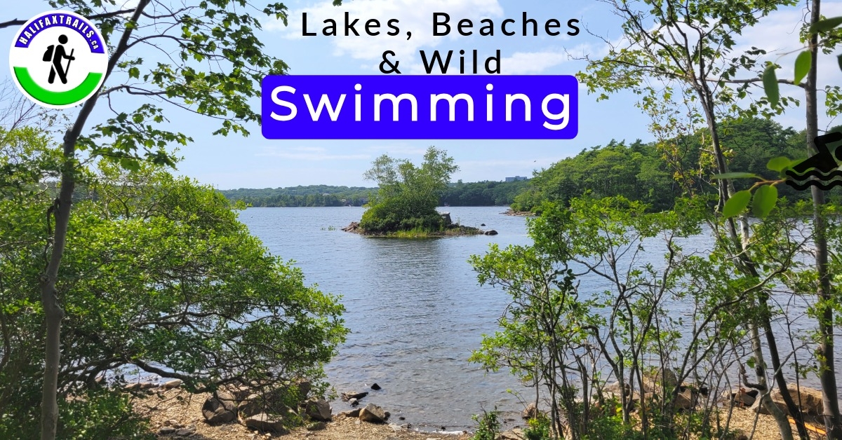 Swimming Lakes & Beaches in Nova Scotia A scenic view of a calm lake with a small island in the center, framed by green trees along the rocky shoreline. The image features the Halifax Trails logo and a text overlay that reads 'Lakes, Beaches & Wild Swimming' alongside a black swimmer icon.