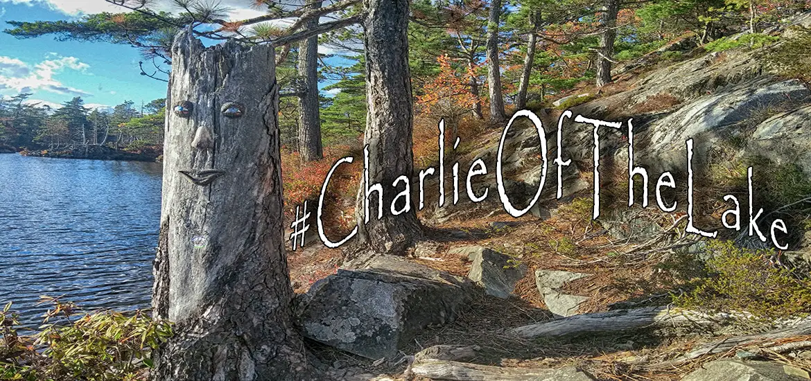 halifax tree people - charlie