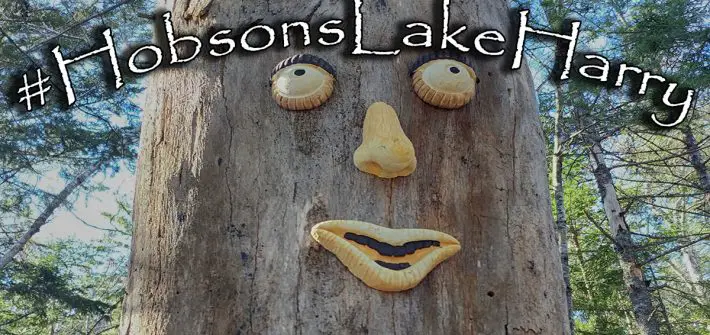 hobsons lake harry