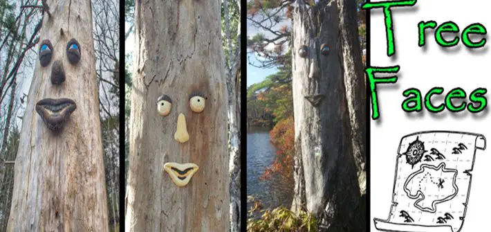 halifax tree faces