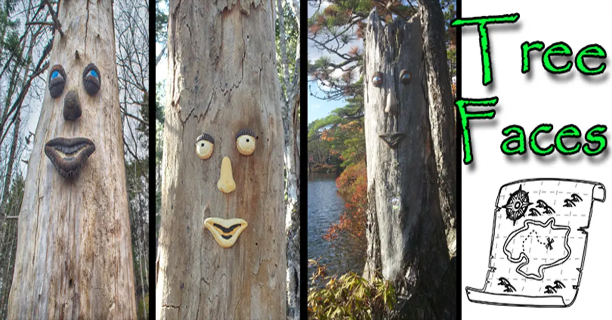 halifax tree faces