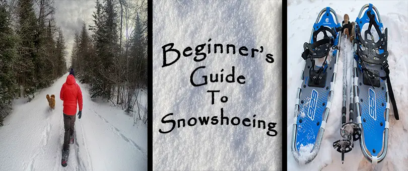 Beginner's Guide To Snowshoeing