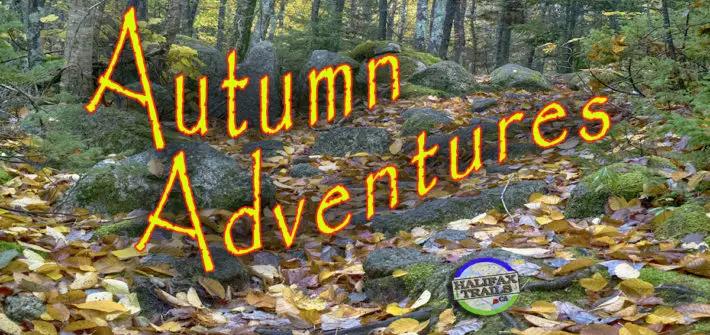 Fall Hiking & Biking Trails In Halifax
