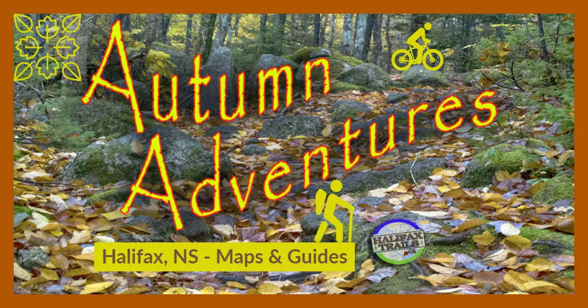 5 Halifax Autumn Adventures in 2 Hours Or Less