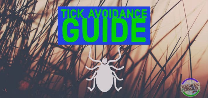 tick avoidance guide for hiking and outdoor activities