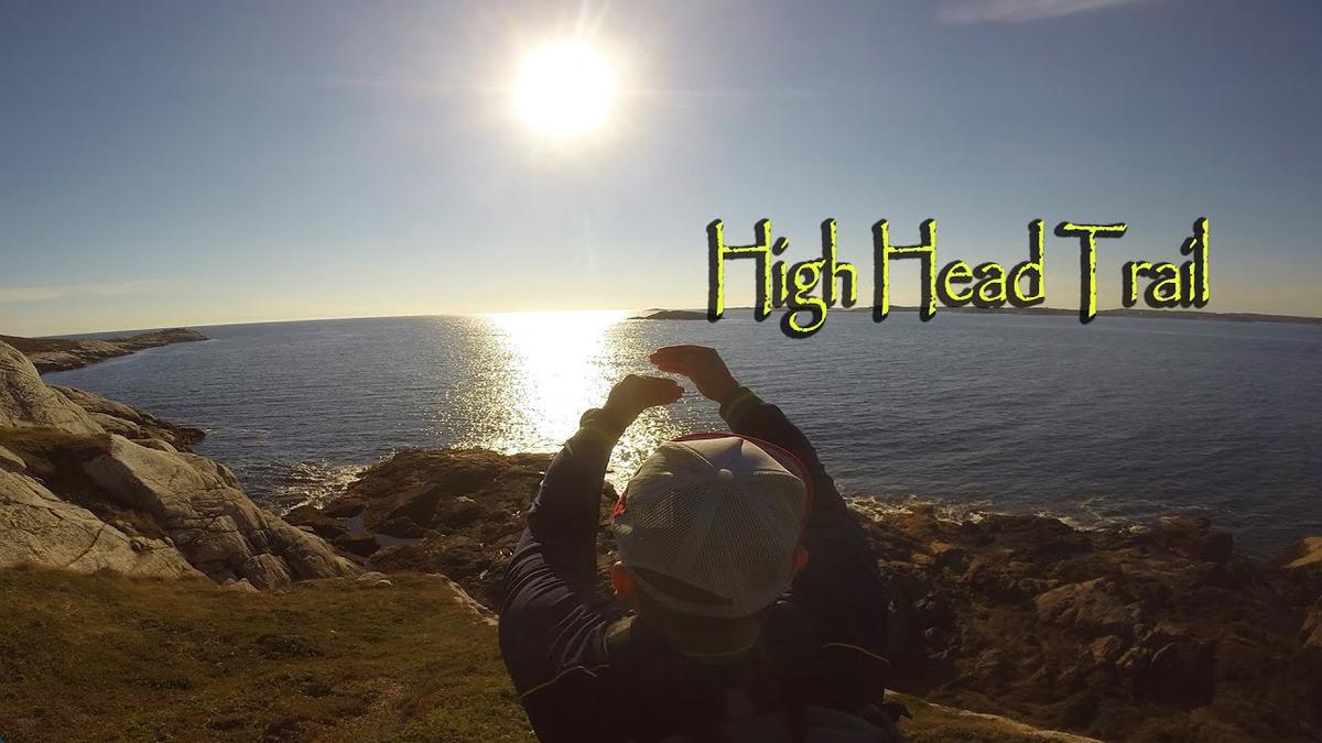 Humix video