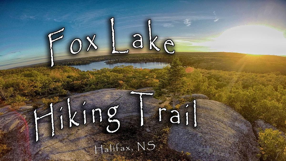 Humix video