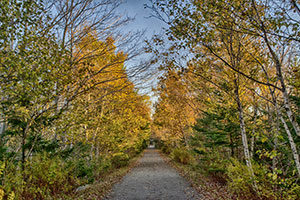 blt trail beechville lakeside timberlea map rails bayers lake bluff