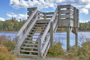 Belcher's Marsh Park Trail Halifax, Nova Scotia