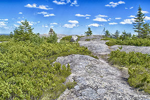 Blue Mountain Hiking Trail Halifax Nova Scotia