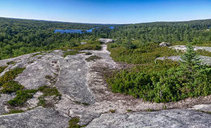 The Bluff Wilderness Hiking Trail Halifax Nova Scotia trails camping parking ns