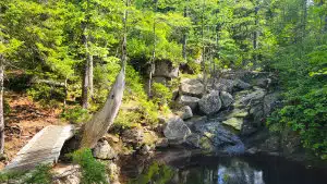 Wooden footbridge crossing over Eddie’s Falls on the Pipeline Trail in Long Lake Provincial Park, featuring a small waterfall flowing over mossy granite boulders into a pool within a lush green forest in Halifax, Nova Scotia.