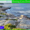 Dramatic coastal view of Herring Cove Provincial Park Reserve in Halifax, Nova Scotia, showing a rugged granite shoreline with crashing waves of the Atlantic Ocean and a narrow hiking trail winding along the bluffs.