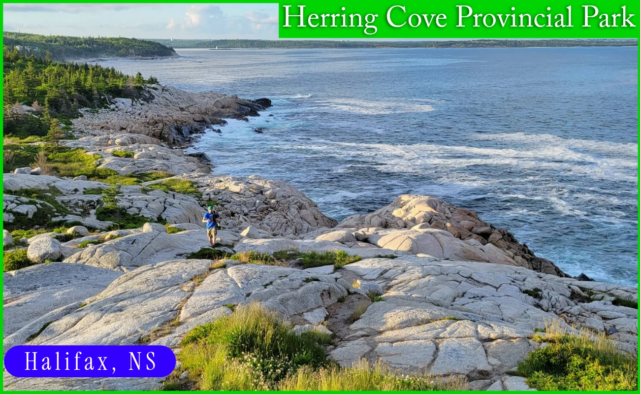 Dramatic coastal view of Herring Cove Provincial Park Reserve in Halifax, Nova Scotia, showing a rugged granite shoreline with crashing waves of the Atlantic Ocean and a narrow hiking trail winding along the bluffs.