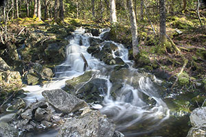 Hobsons Lake Trail Blue Mountain Birch Cove Lakes Wilderness Halifax Nova Scotia