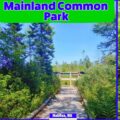 Halifax Mainland Common Park Clayton