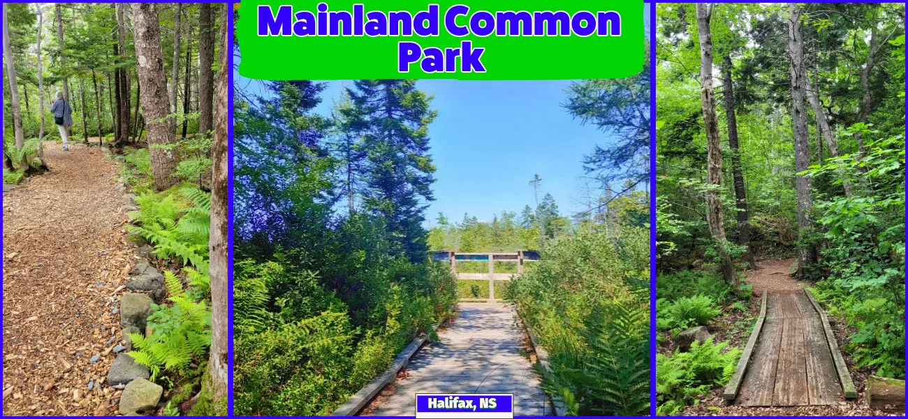 Halifax Mainland Common Park Clayton