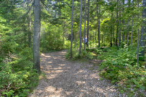 Halifax Mainland Common Park Loop Trail