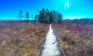 McDonald Sports Park Waverly Fall River Halifax Nova Scotia Photos