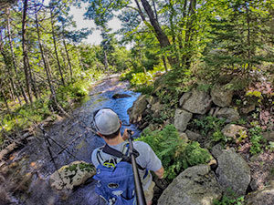 McIntosh Run Community Trail Halifax Nova Scotia