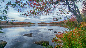 McIntosh Run Norawarren Mountain Biking Trails Halifax Nova Scotia