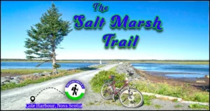 Wide gravel path on the Salt Marsh Trail in Cole Harbour, Nova Scotia, part of the Trans Canada Trail, stretching across calm coastal waters and marshes under a bright sky.
