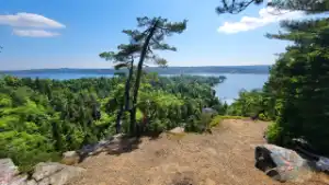 A panoramic view overlooking the Bedford Basin from the Eagle Rock lookout in Admiral Cove Park, Bedford, Nova Scotia, on a sunny day with dense pine forests.