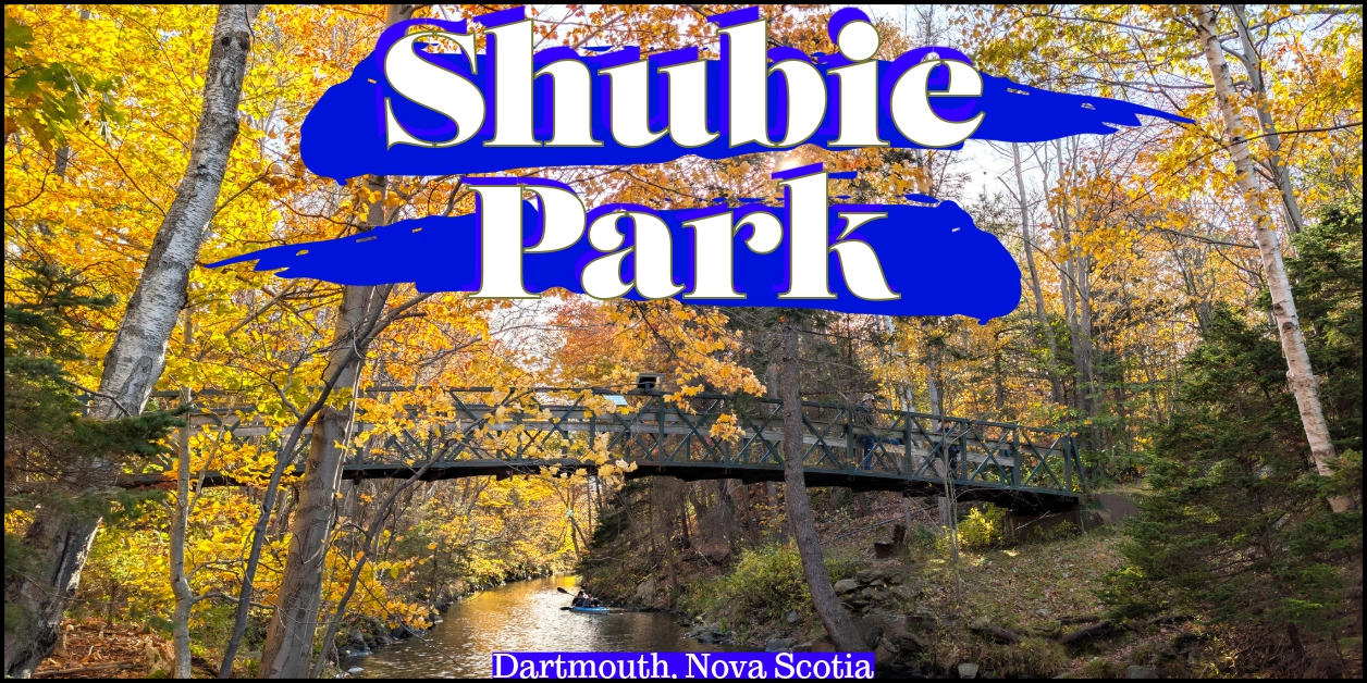 A vibrant autumn landscape of Shubie Park featuring a pedestrian bridge over a canal surrounded by bright yellow fall foliage, with a kayaker paddling below. The image is overlaid with a bright blue brushstroke behind large white text reading "Shubie Park," and smaller text at the bottom reading "Dartmouth, Nova Scotia."