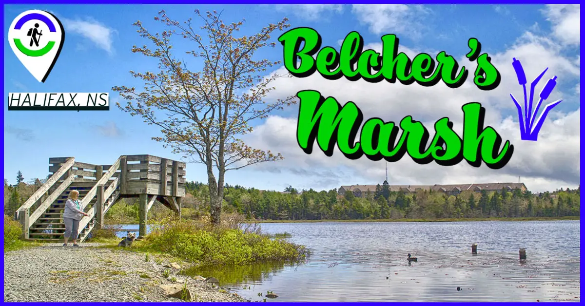Belchers Marsh in Halifax, Nova Scotia