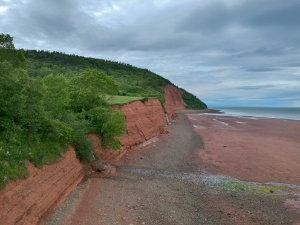 Wide-angle view of the towering red sandstone cliffs at Blomidon Provincial Park, Nova Scotia, showing the expansive sandy beach at low tide and lush green forest along the high ridge line of the Bay of Fundy.