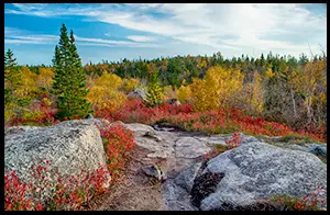 The Bluff Wilderness Trail