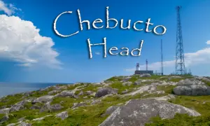Chebucto Head