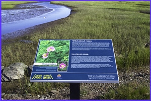 Cole Harbour Salt Marsh Trail, NS