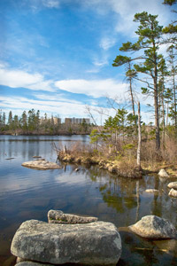 Cranberry Pond Trail