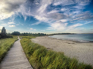 Pennant Point Trail Crystal Crescent Beach Hike Halifax Nova Scotia