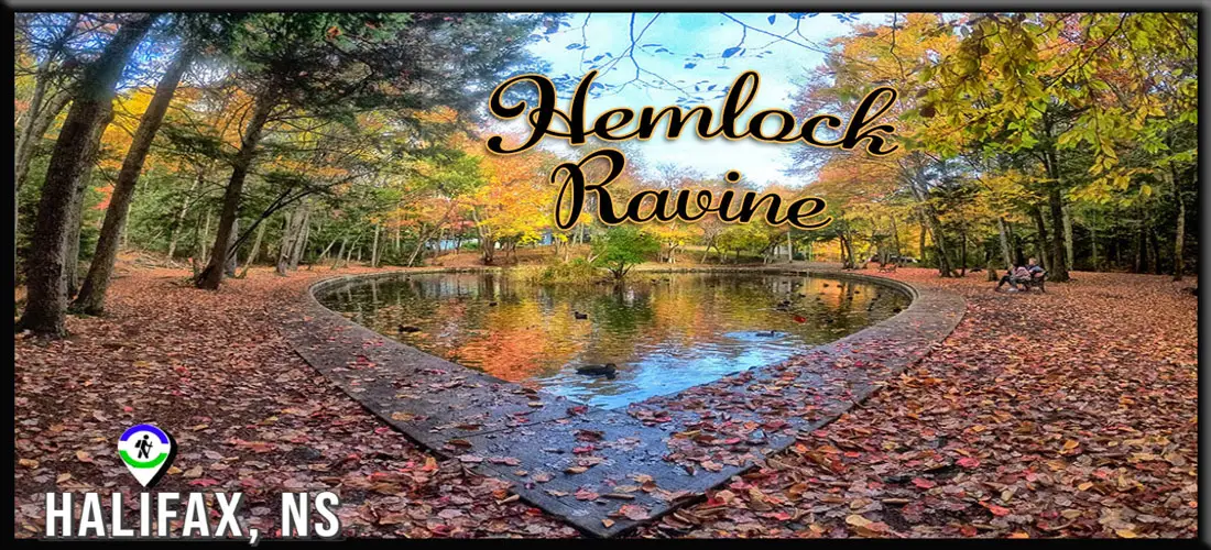 Hemlock Ravine Park Heart-Shaped Pond - Halifax, Nova Scotia
