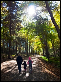 Hemlock Ravine Park Trails