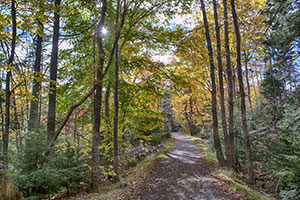 hemlock ravine park halifax nova scotia