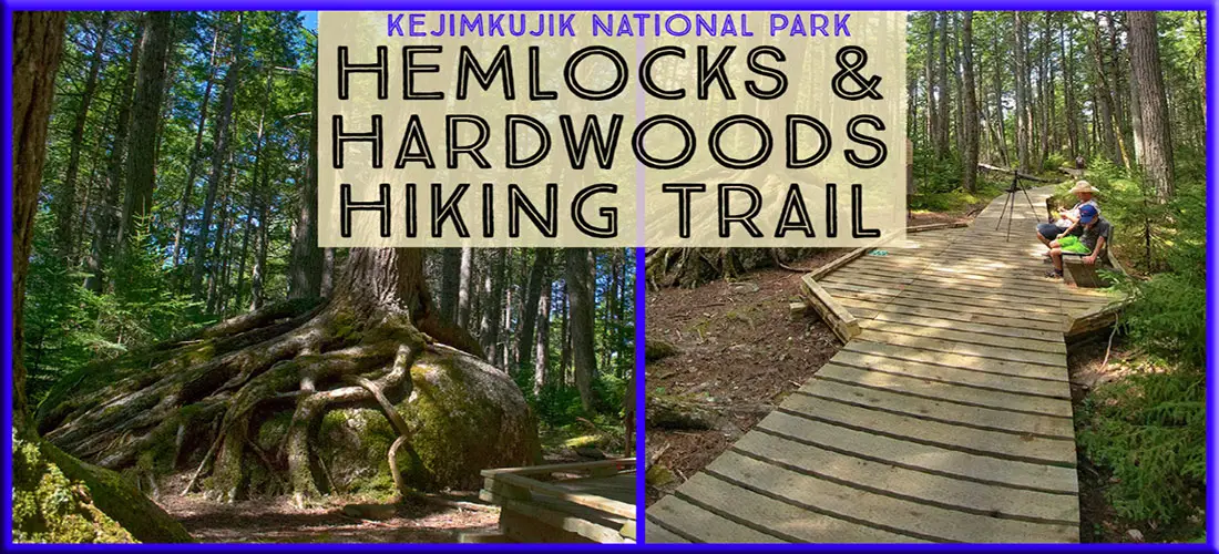 Hemlocks and Hardwoods Hiking Trail in Kejimkujik National Park
